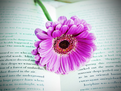 flower_book