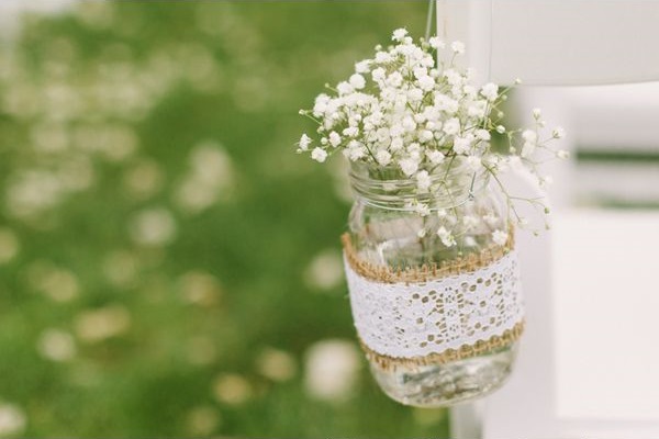 baby's breath